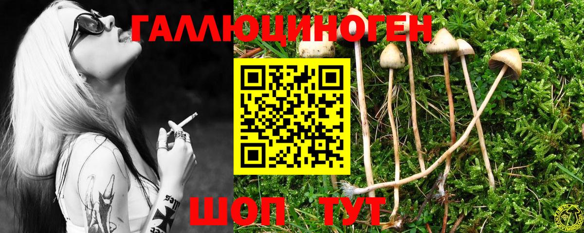 Псилоцибиновые грибы ЛСД  Вход с VPN  Петрозаводск 