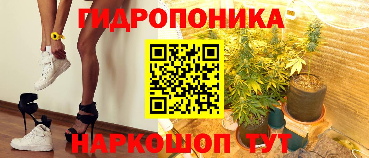 Петрозаводск  Канабис индика  Вход с VPN  Бошки марихуана Ganja 
